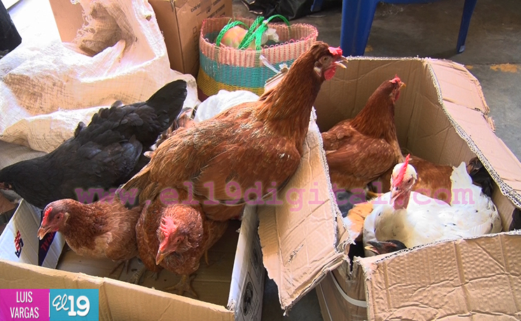 Familias abarrotan mercados capitalinos previo a celebración de la Navidad
