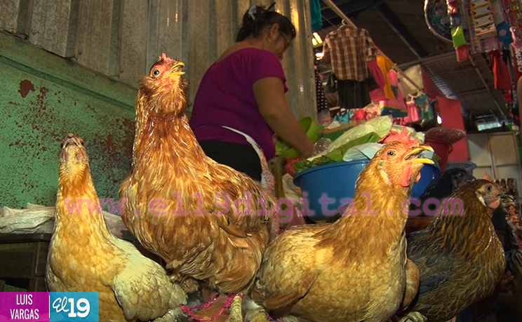 Familias abarrotan mercados capitalinos previo a celebración de la Navidad