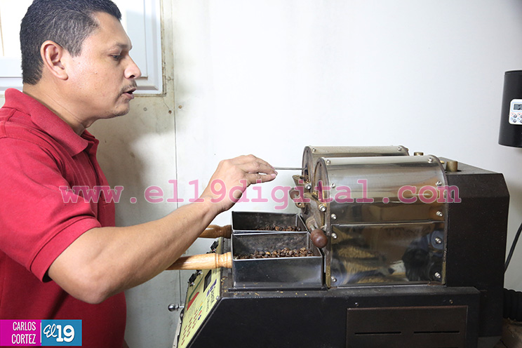 Programa de renovación de la caficultura con grandes ventajas para los pequeños productores