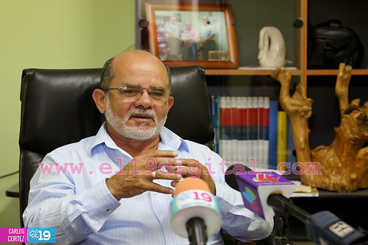 Programa de renovación de la caficultura con grandes ventajas para los pequeños productores