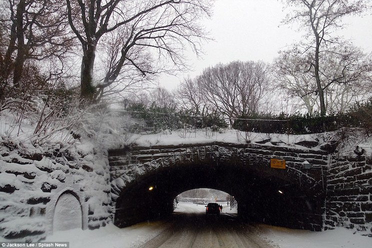 Diecinueve muertos por Tormenta Jonas en Estados Unidos