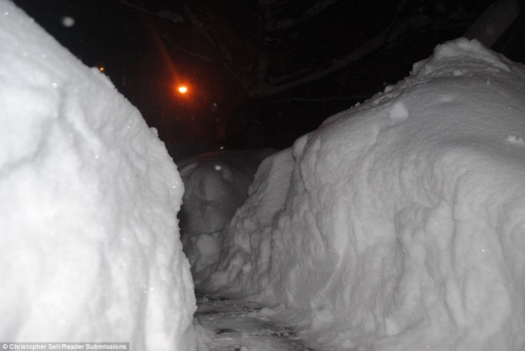 Diecinueve muertos por Tormenta Jonas en Estados Unidos