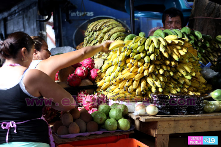 Precios en frutas y verduras se mantienen estables en el Mercado Israel Lewites