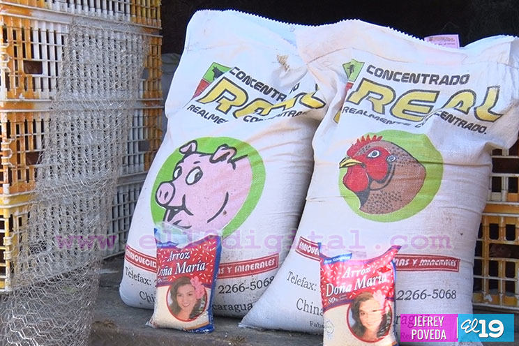 Bono Productivo Alimentario llega a más familias de Managua