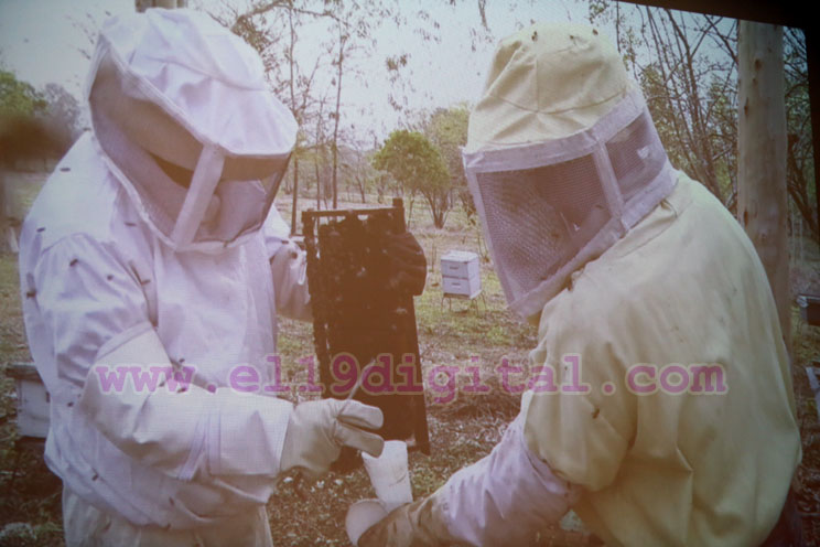 IPSA promueve Primer Congreso Nacional de Sanidad Apícola