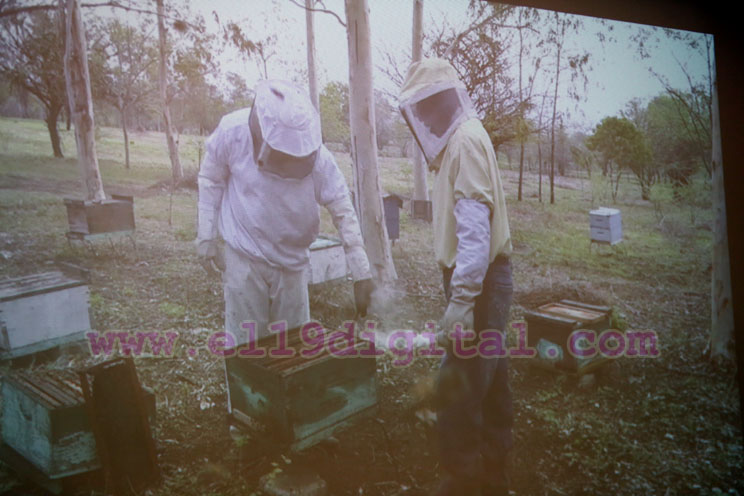 IPSA promueve Primer Congreso Nacional de Sanidad Apícola