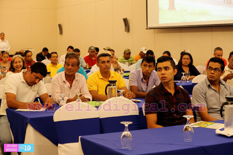 IPSA promueve Primer Congreso Nacional de Sanidad Apícola