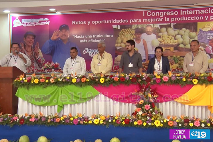 Nicaragua tiene una posición privilegiada para la producción de frutas