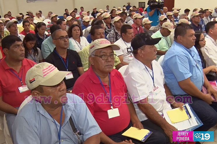 Nicaragua tiene una posición privilegiada para la producción de frutas