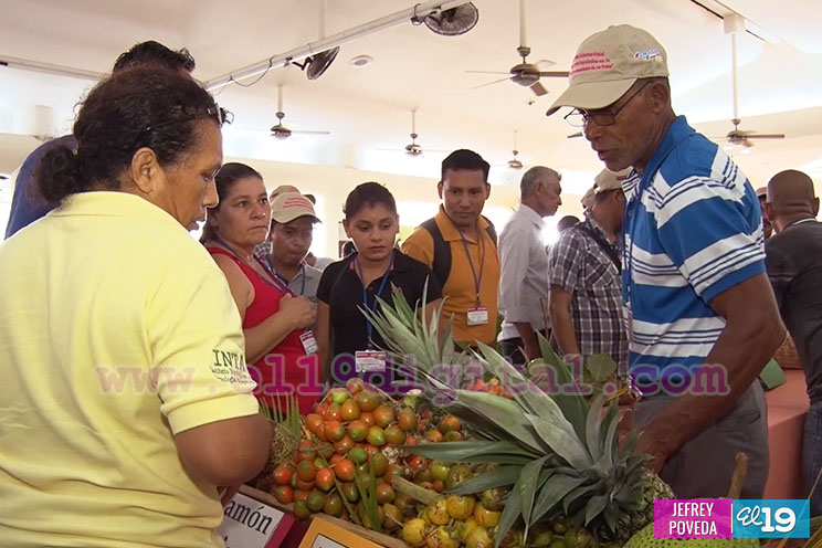 Nicaragua tiene una posición privilegiada para la producción de frutas