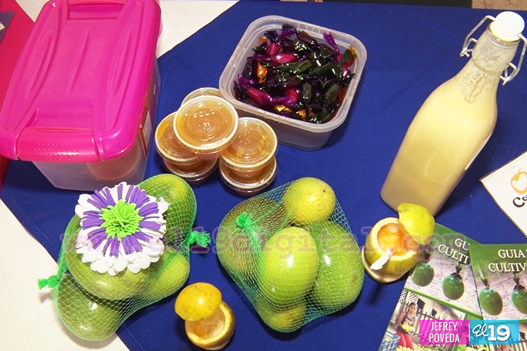 Nicaragua tiene una posición privilegiada para la producción de frutas