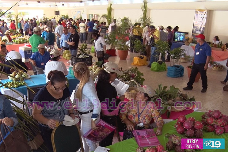 Nicaragua tiene una posición privilegiada para la producción de frutas