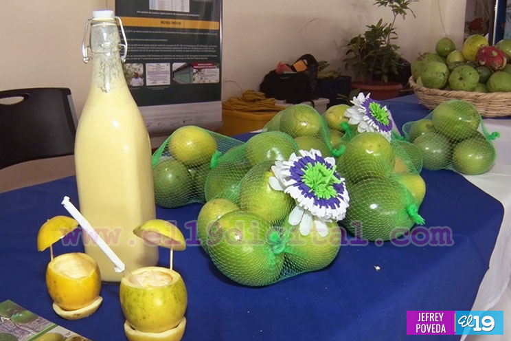 Nicaragua tiene una posición privilegiada para la producción de frutas