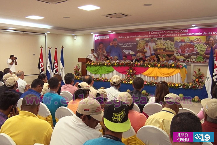 Nicaragua tiene una posición privilegiada para la producción de frutas