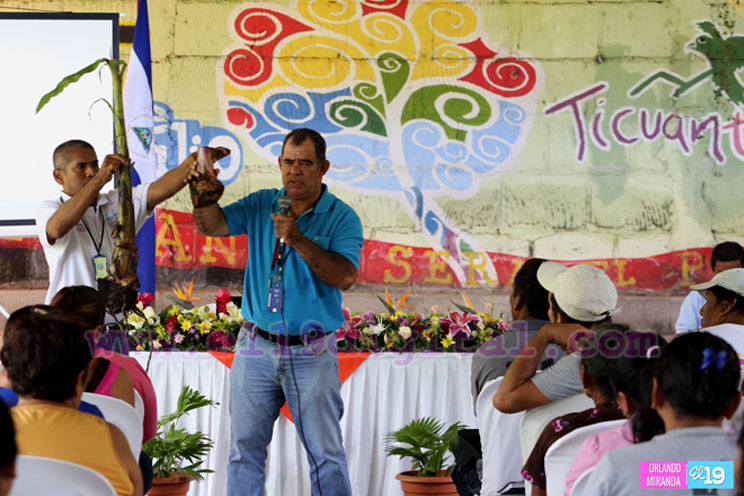 Productores de plátano reflexionan sobre el uso de prácticas para el control de plagas y enfermedades