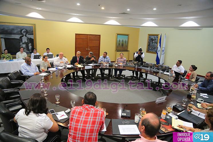 Café pinta buenas perspectivas en la economía nicaragüense