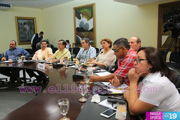 Café pinta buenas perspectivas en la economía nicaragüense