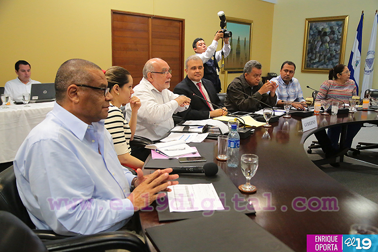 Café pinta buenas perspectivas en la economía nicaragüense