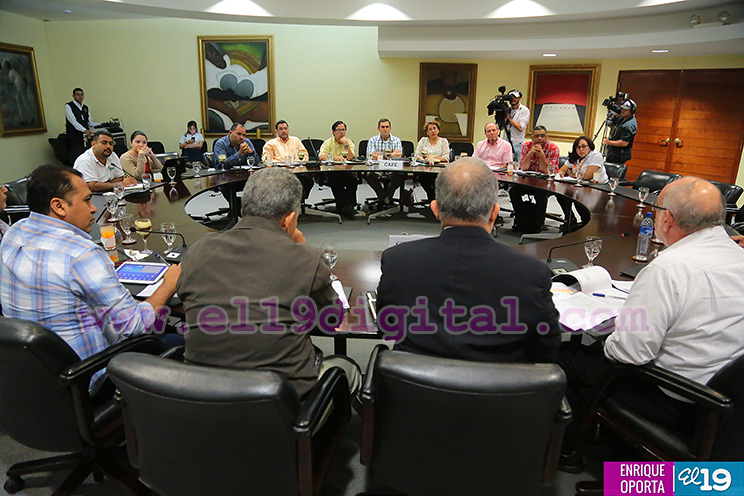 Café pinta buenas perspectivas en la economía nicaragüense