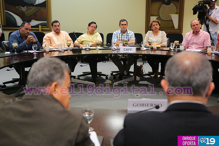 Café pinta buenas perspectivas en la economía nicaragüense