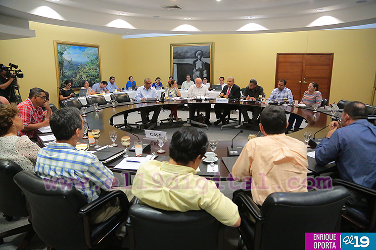 Café pinta buenas perspectivas en la economía nicaragüense