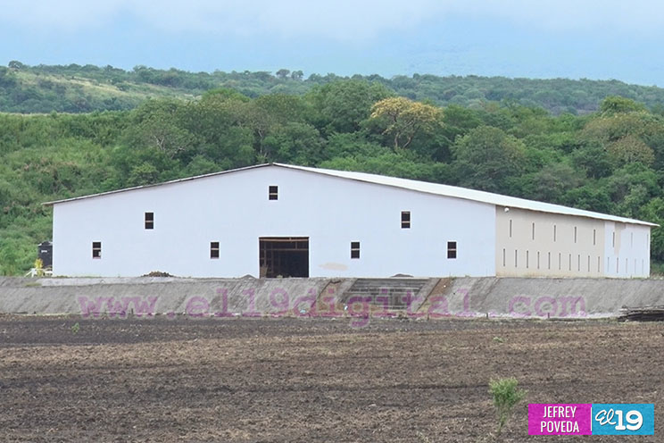 Inauguran mega agroindustria tabacalera en Ciudad Darío