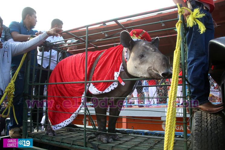 Dantos, Campeón del Pomares 2016!