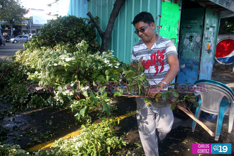 Comerciantes satisfechos con buenas ventas de productos alusivos a La Gritería