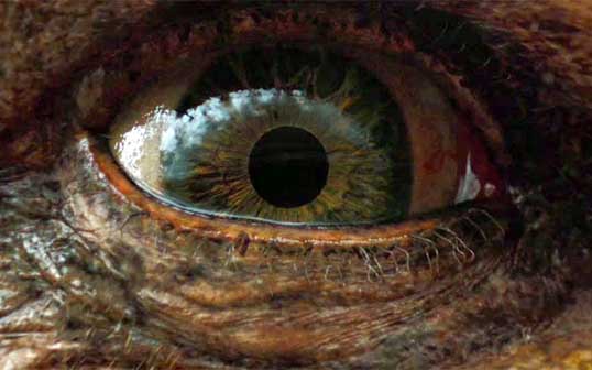 Jack el Cazagigantes producirá pérdidas de 140 millones de dólares a sus productoras