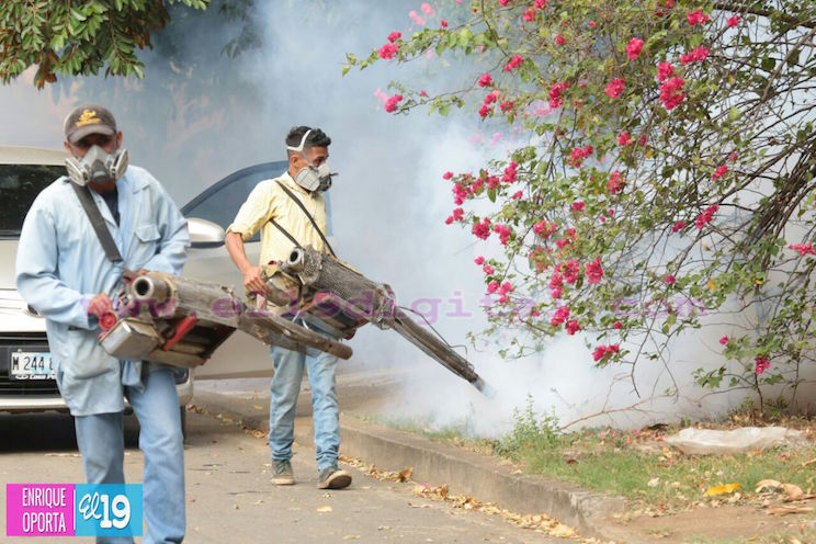 Familias del Manuel Fernández no quieren enfermarse