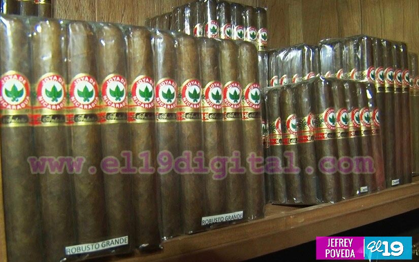 VI Festival del Tabaco Nicaragüense contará con la participación de 28 países