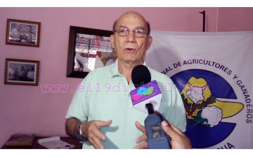 Ciclo agrícola del 2017 avanza de manera estable