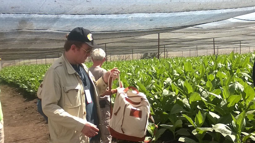 Industria Tabacalera Nicaragüense se desarrolla en tecnología y calidad