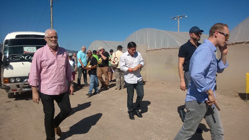 Industria Tabacalera Nicaragüense se desarrolla en tecnología y calidad