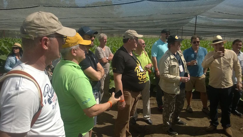 Industria Tabacalera Nicaragüense se desarrolla en tecnología y calidad