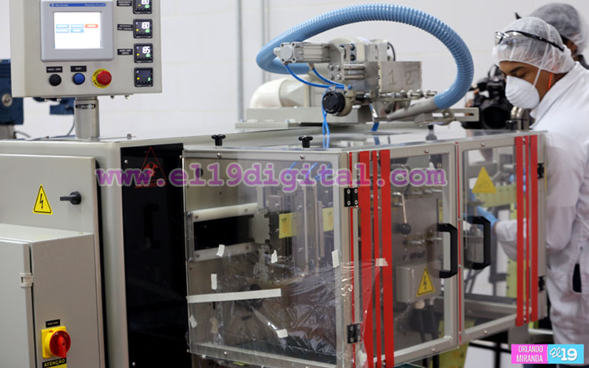 AGROALSA promueve novedoso endulzante natural