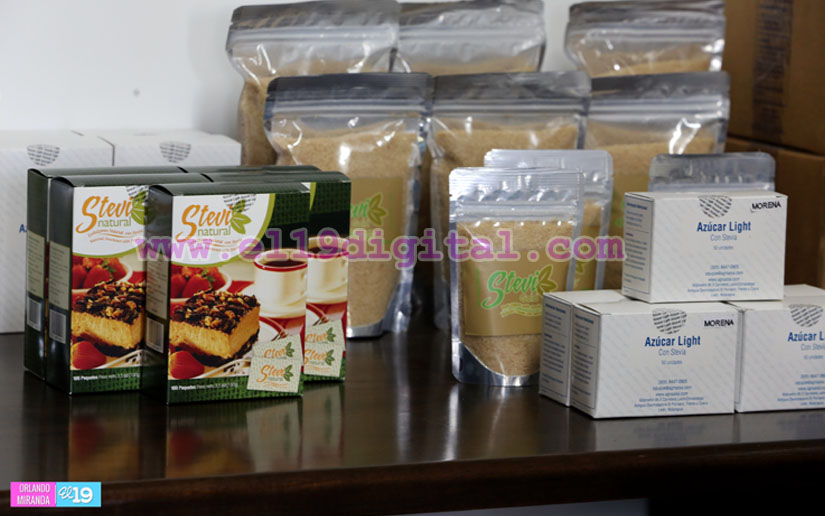 AGROALSA promueve novedoso endulzante natural