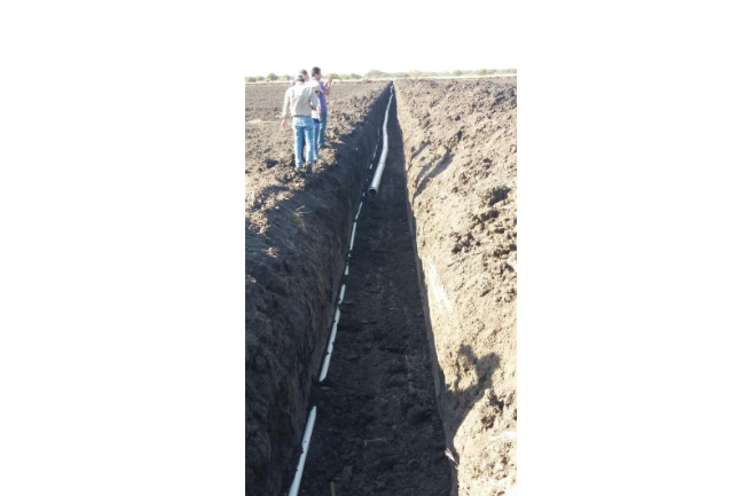 Empresa de cacao de alta productividad se instala en Tipitapa