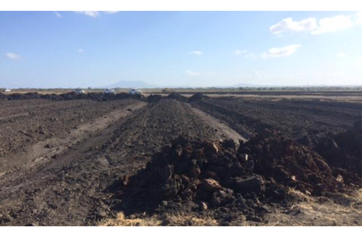 Empresa de cacao de alta productividad se instala en Tipitapa