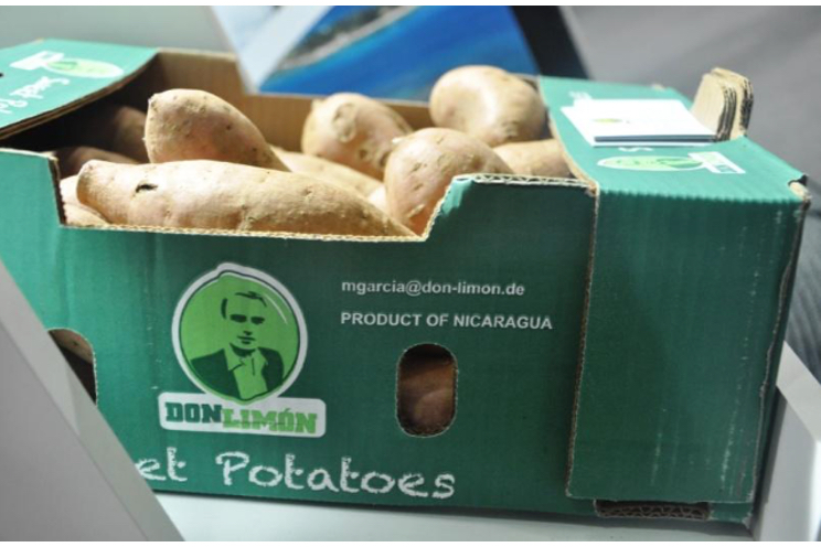 Nicaragua presente en la Feria Fruit Logistica 2017 de la ciudad de Berlín