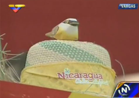 Nicolás Maduro exhibe sombrero de paja regalado por nicaragüense (VIDEO)