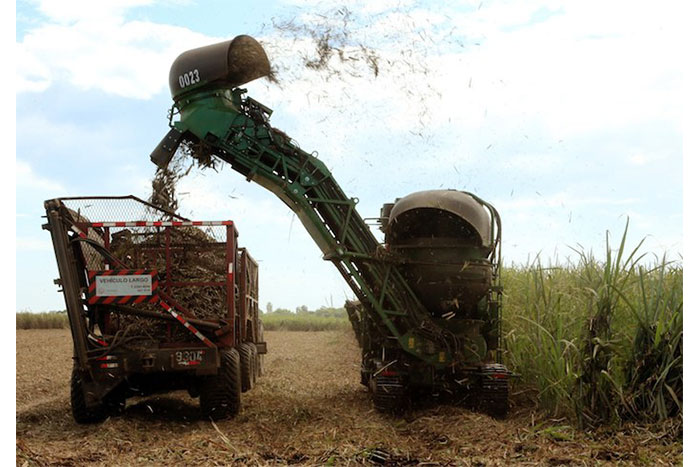 Vicepresidente Halleslevens destaca importancia de industria azucarera