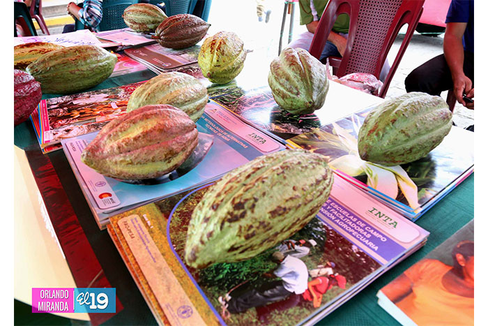 Carreras técnicas agropecuaria muestran sus capacidades de emprendedurismo e innovación