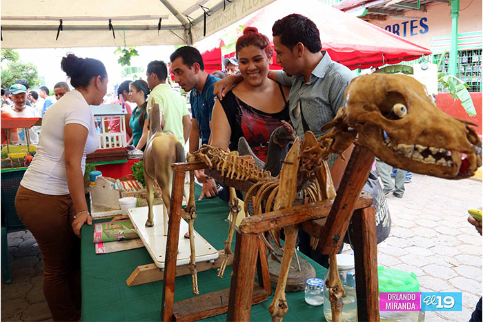 Carreras técnicas agropecuaria muestran sus capacidades de emprendedurismo e innovación
