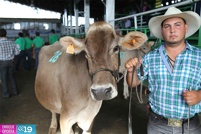 Cinco días de éxito en la Exposición Pecuaria del Istmo Centroamericano