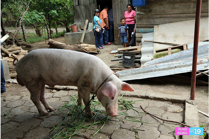 Gobierno avanza en censo para verificar daños causados por la sequía  