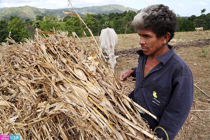 Aprovechan tecnología agropecuaria para mejorar la producción