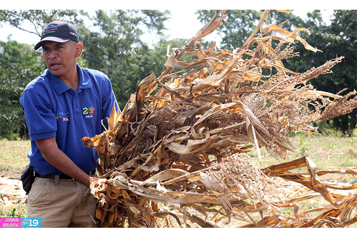 Aprovechan tecnología agropecuaria para mejorar la producción