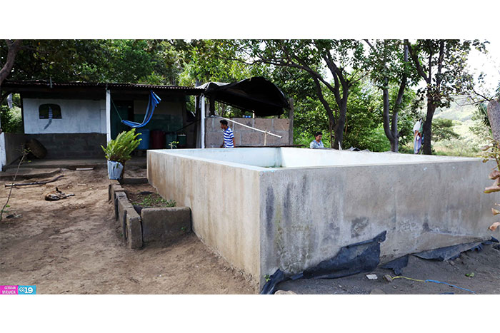 Aprovechan tecnología agropecuaria para mejorar la producción