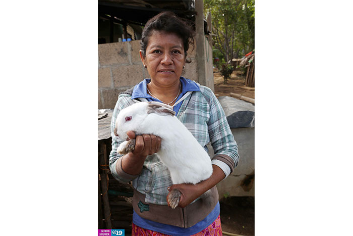 Aprovechan tecnología agropecuaria para mejorar la producción